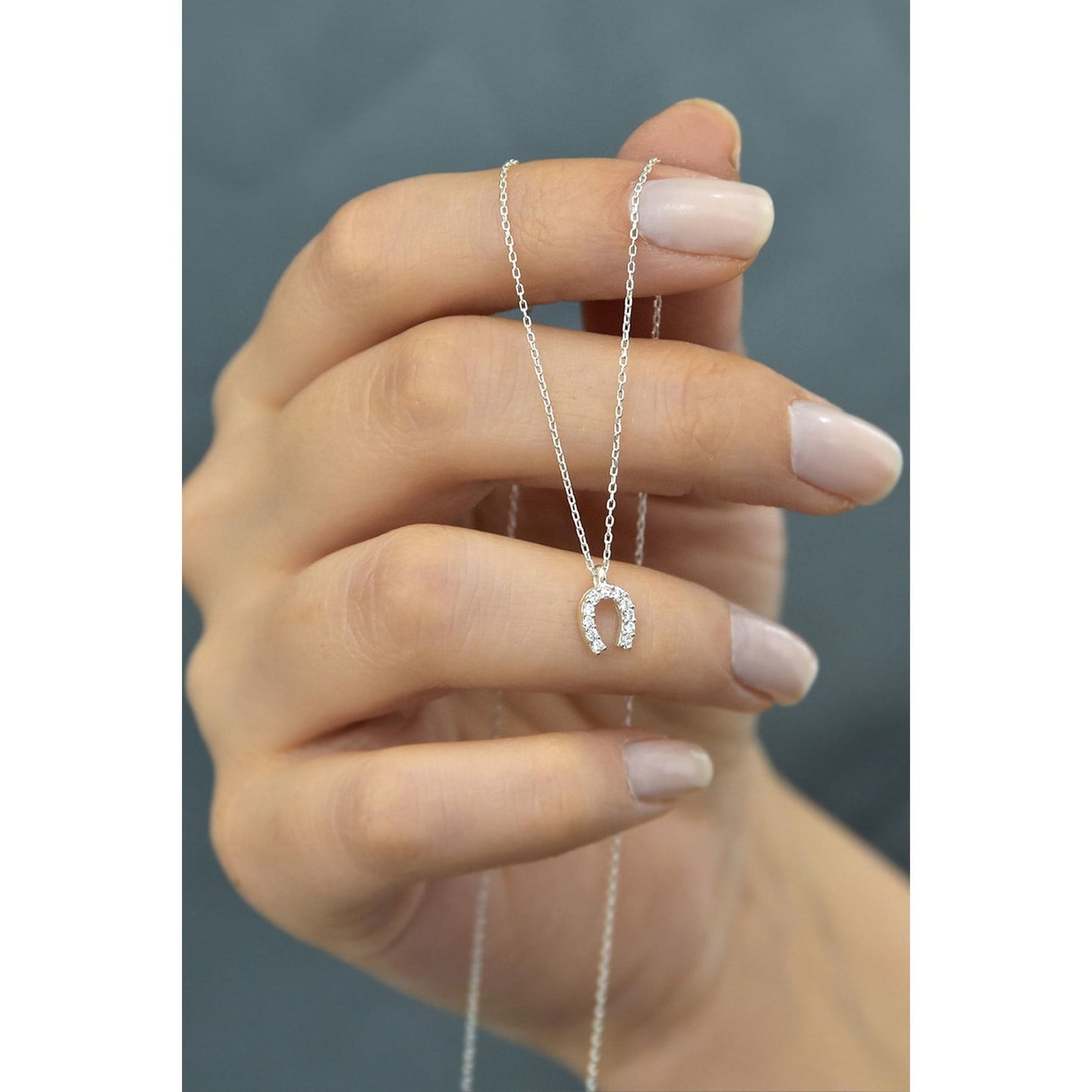 Silver Color, Zircon Stone Horseshoe Necklace