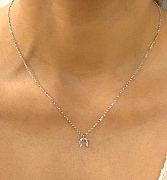 Silver Color, Zircon Stone Horseshoe Necklace